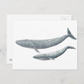 Ballena azul briefkaart (Voorkant / Achterkant)