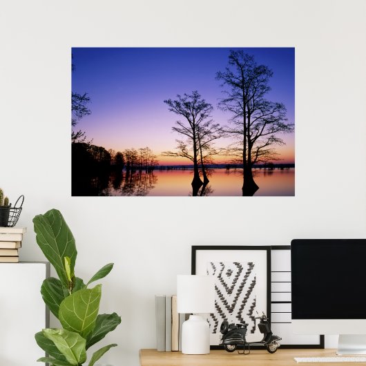 Ballende cyperbomen gedempt bij zonsondergang, poster (Thuiskantoor)