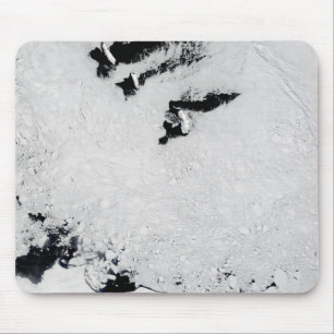 Balleny Islands, vlakbij Antarctica Muismat