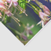 Ballerina bloemen tissuepapier (Detail)