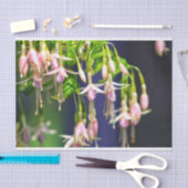 Ballerina bloemen tissuepapier (Craft)