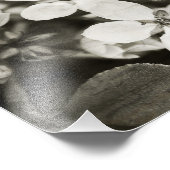 Ballerina Blossom Foto afdrukken Afdruk (Hoek)