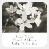 Ballerina Blossoms étiquettes Vintages (Devant)