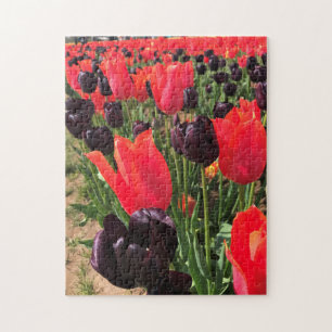 Ballerina en koningin van de nachtTulpen Legpuzzel