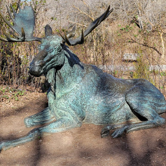 Ballerina en Robot T-shirt