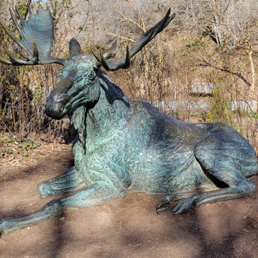 Ballerina en Robot T-shirt