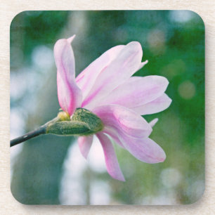 Ballerina Magnolia Onderzetter