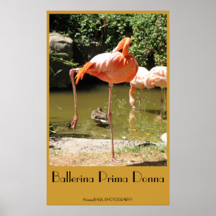Ballerina Prima Donna Poster! Poster