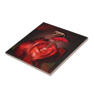 Ballerina Roos - Keramische Tegel Tegeltje