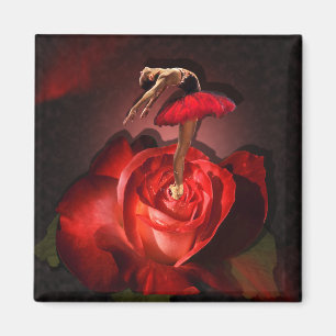 Ballerina Roos - Magnet Magneet