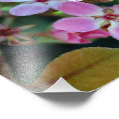 Ballerina rose Blossoms Photo Imprimer (Coin)