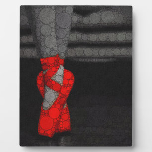 Ballerina Schoenen Schattige Ballet Fotoplaat