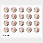 Ballerina Toes Ronde Sticker (Vel)