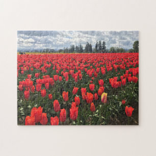 Ballerina Tulips, Oregon Legpuzzel