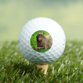 Balles De Golf 12 Pack - Animaux Capybara Personnalisés amusants (T-shirt Insitu)
