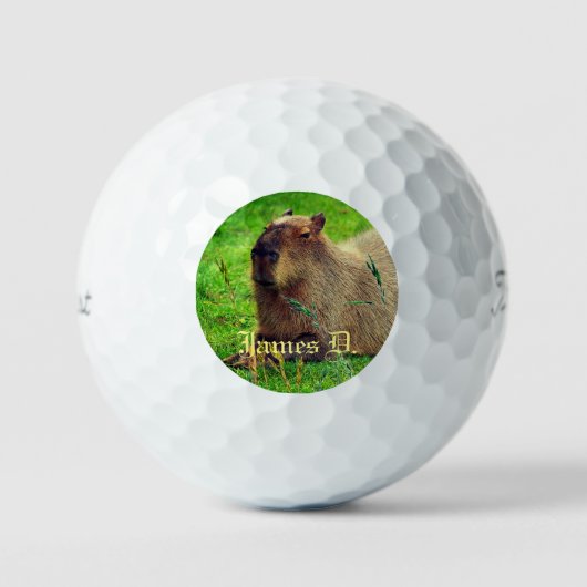 Balles De Golf 12 Pack - Animaux Capybara Personnalisés amusants (Recto)