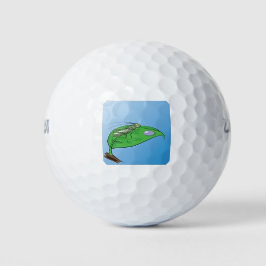 Balles De Golf 31sauterelles (Devant)