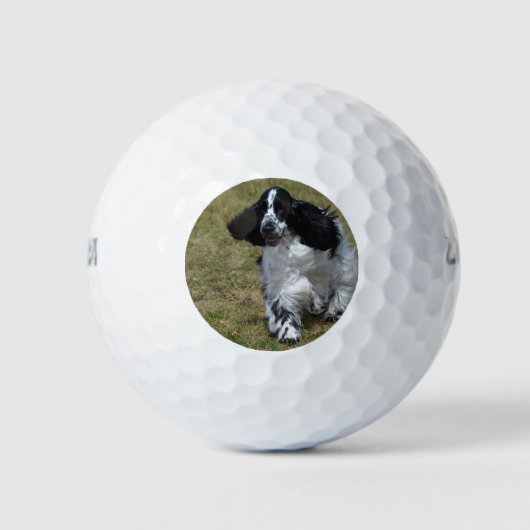Balles De Golf Adorable Anglais Cocker Spaniel (Devant)