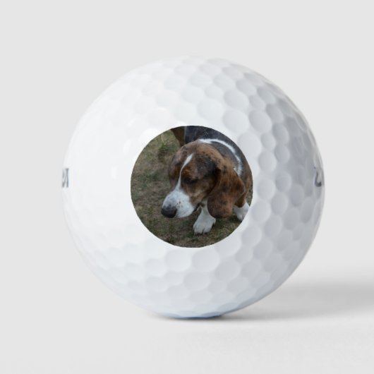 Balles De Golf Adorable Basset Hound (Devant)