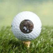 Balles De Golf Adorable Basset Hound (T-shirt Insitu)