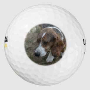 Balles De Golf Adorable Basset Hound