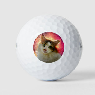 Balles De Golf Adorable Cute Calico Chat