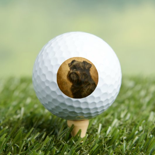 Balles De Golf Affenpinscher (T-shirt Insitu)
