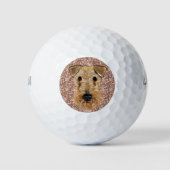 BALLES DE GOLF AIREDALE TERRIER (Devant)