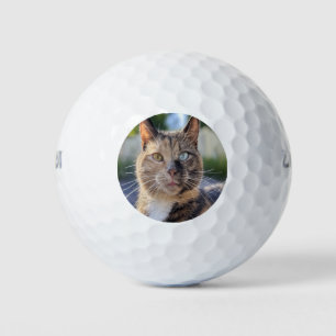 Balles De Golf Ajouter une Personnaliser photo de chat