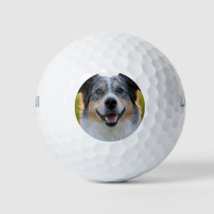 Balles De Golf Ajouter une Personnaliser photo pour animaux domes