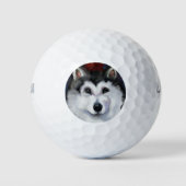 BALLES DE GOLF ALASKAN MALAMUTE (Devant)