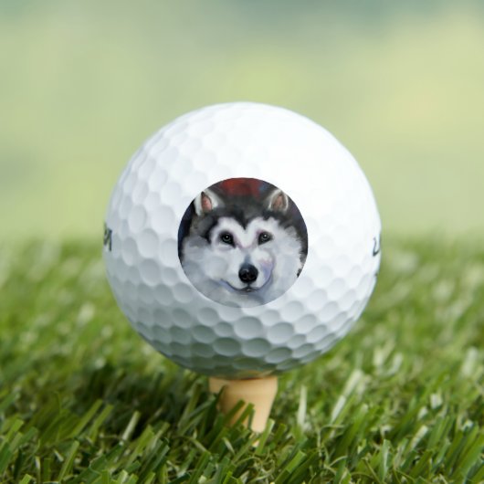 BALLES DE GOLF ALASKAN MALAMUTE (T-shirt Insitu)