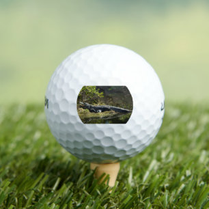 Balles De Golf Alligator américain se reposant le long d'une zone