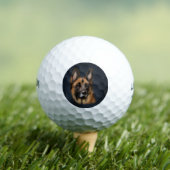 BALLES DE GOLF ALMAN SHEPHERD (T-shirt Insitu)