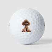Balles de Golf Amateur de Caniche (Devant)