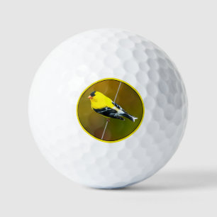 Balles De Golf American Goldfinch - Photo originale