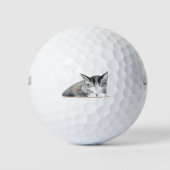 Balles De Golf Amoureux des animaux de chat gris Kitty Kitten Ani (Devant)