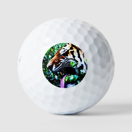 Balles De Golf Amur Tiger be6 gbcna (Devant)