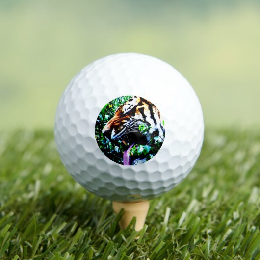 Balles De Golf Amur Tiger va gbcnm (T-shirt Insitu)