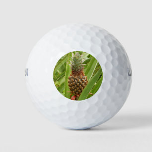 Balles De Golf Ananas sauvage Fruit tropical dans la nature