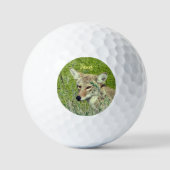 Balles De Golf Animaux Coyote Fun Personnalisés (Recto)
