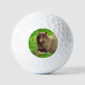 Balles De Golf Animaux de Capybara Fun Personnalisés (Recto)