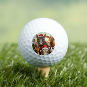 Balles De Golf Animaux de Noël (6) (T-shirt Insitu)