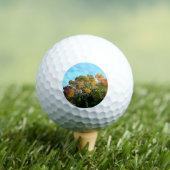 BALLES DE GOLF ARBRES D'AUTOMNE (T-shirt Insitu)