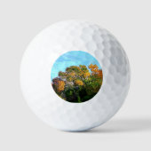 BALLES DE GOLF ARBRES D'AUTOMNE (Recto)