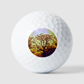 BALLES DE GOLF ARBRES SOUS LE SOLEIL BRUMEUX