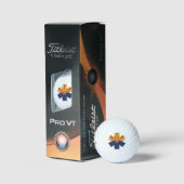 Balles De Golf Arizona EMS Golf Balls (Conditionnement)