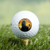 Balles De Golf Assistant (T-shirt Insitu)