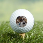 Balles De Golf Attraction de chien Fox Terrier, (T-shirt Insitu)