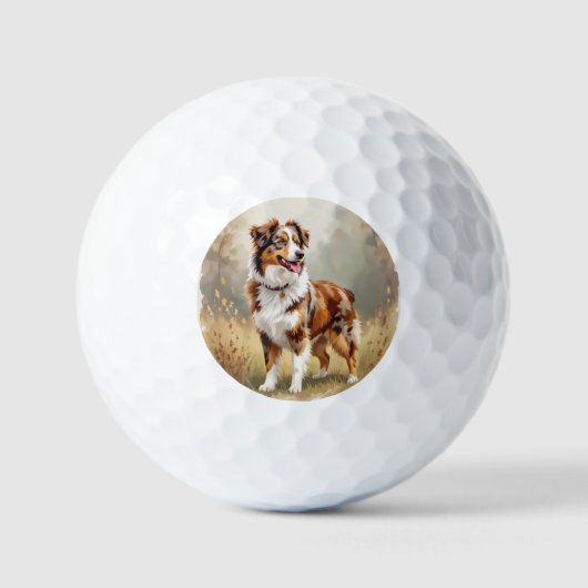 Balles De Golf Australian Shepherd Dog Red Merle Aussie (Recto)